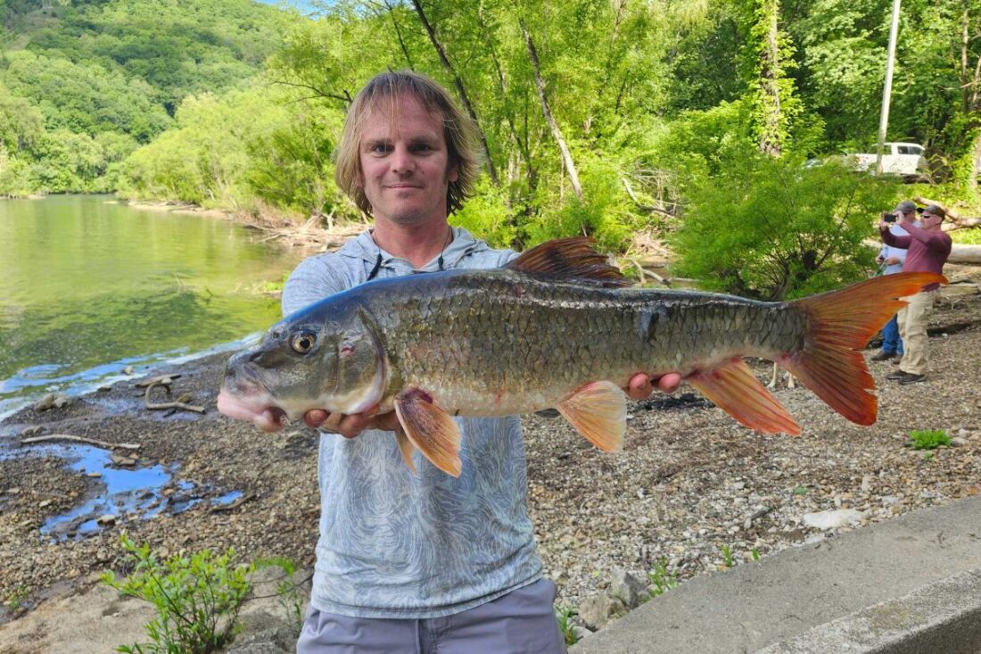 Three New State Fishing Records Broken In West Virginia This Spring ...